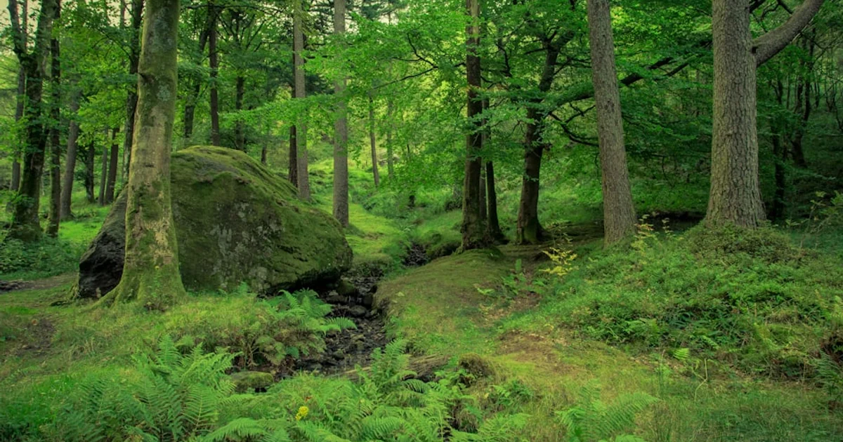 خارطة طريق لحماية عمالقة المحيطات: أستراليا تنضم لقاعدة بيانات عالمية لحماية القروش