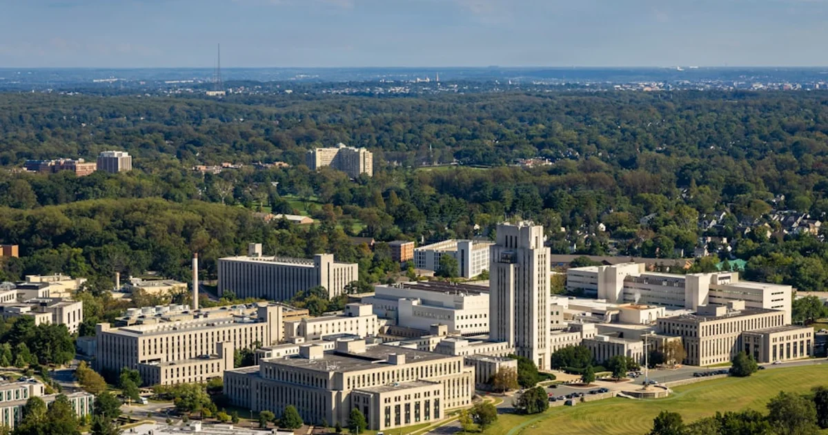 اكتشاف مفاجئ في جذع الدماغ يفسر لغز ارتفاع ضغط الدم المزمن