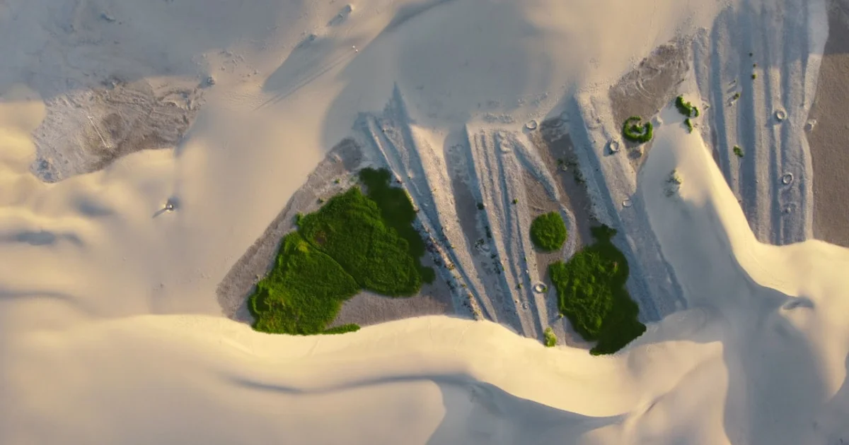 كيف تغير المحاكاة الرقمية نظرة القادة لمستقبل كوكبنا والمناخ العالمي