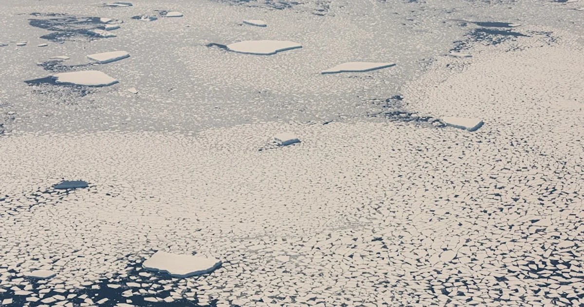 لماذا أصبحت موجات الحر الرطبة أكثر قسوة وانتشاراً في عالمنا المعاصر؟