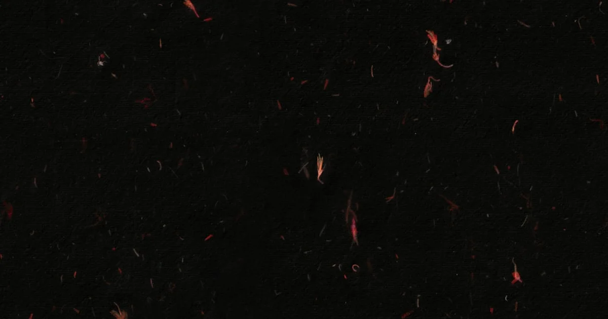 هل المادة المظلمة تتغير؟ فرضية جديدة تعيد صياغة فهمنا للكون المجهول