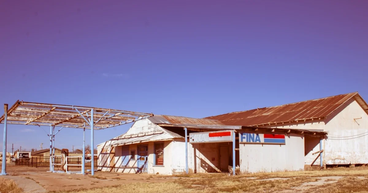 إنجاز علمي يغير قواعد اللعبة: نجاح أول عملية تلقيح صناعي للخيول