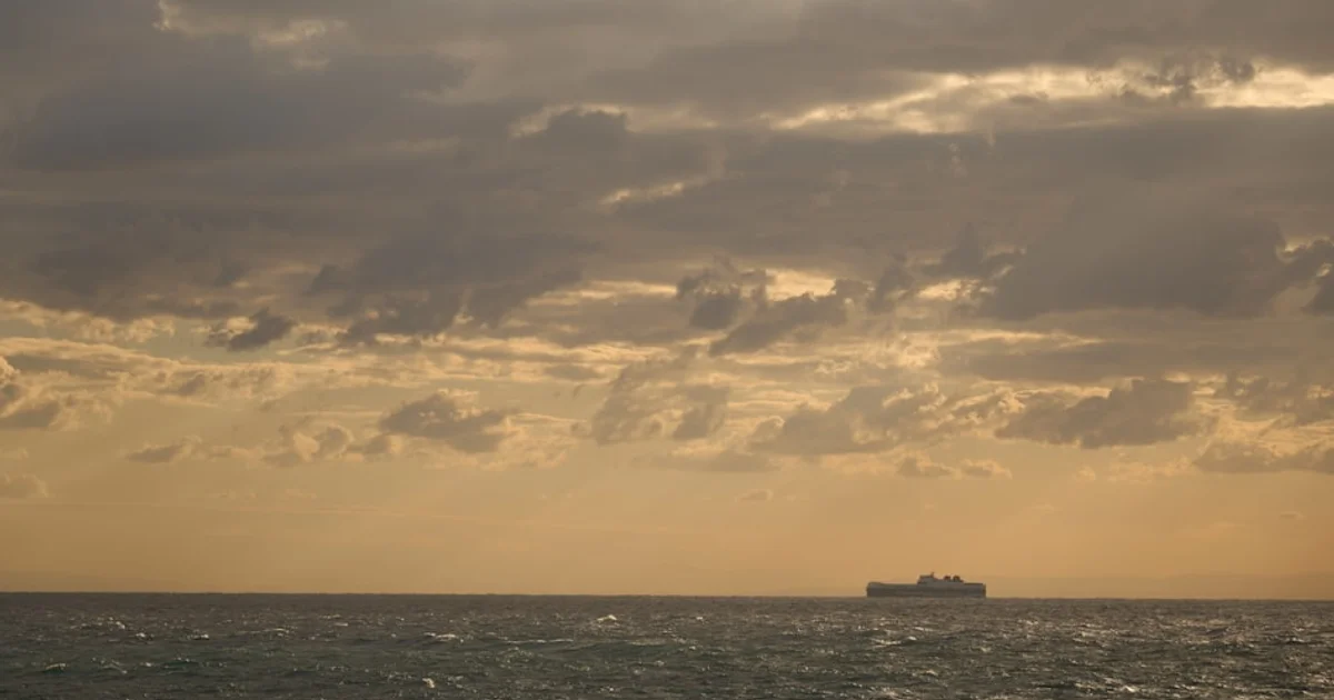 الشركات الألمانية في مأزق استراتيجي بين القوة الاقتصادية لأمريكا والصين