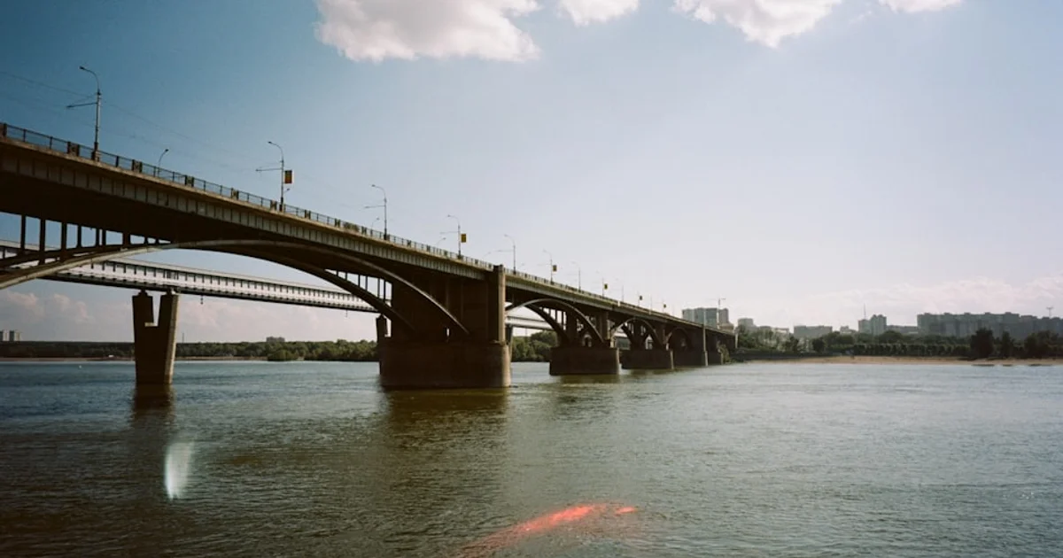 أحافير حية في أعماق المحيط: قصة بقاء النوتيلوس لنصف مليار عام