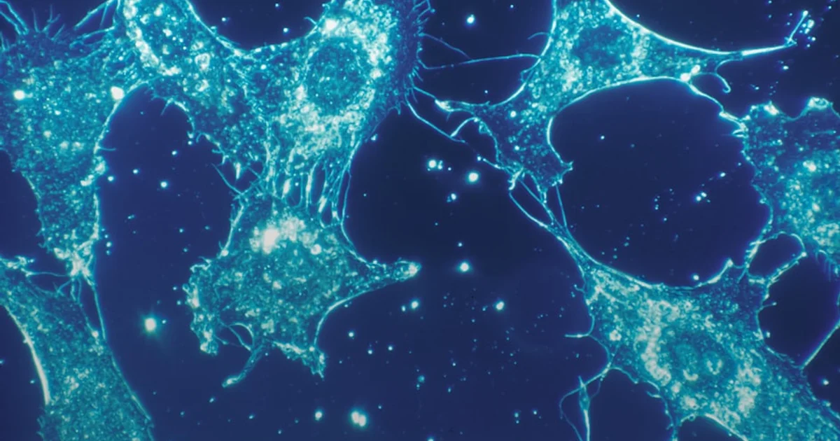 فك شفرة الحياة: كيف يقيس العلماء اتجاه العمليات داخل خلايانا الحية