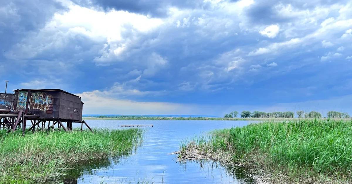 اكتشاف أثري يغير فهمنا لتاريخ البشر: تعاون مذهل بين الإنسان القديم والنياندرتال