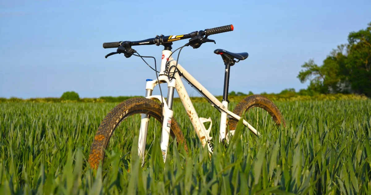 من صواعق السماء إلى مائدة الطعام: كيف يغذي النيتروجين كوكبنا المتسارع؟