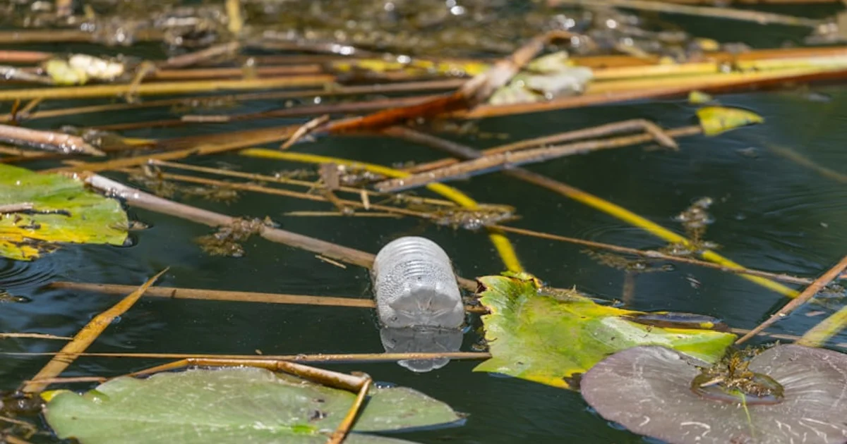 خطر غير مرئي في مياهنا: كيف تلوث علاجات البراغيث أنهارنا الطبيعية؟