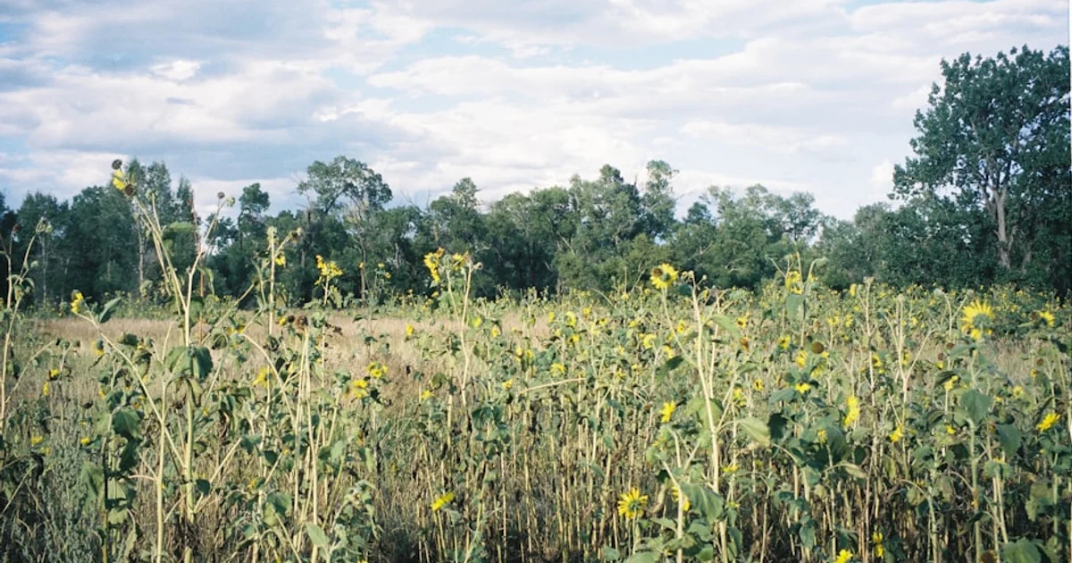 علاقة غامضة بين السباحين والمياه الملوثة: لماذا نصر على الغوص؟
